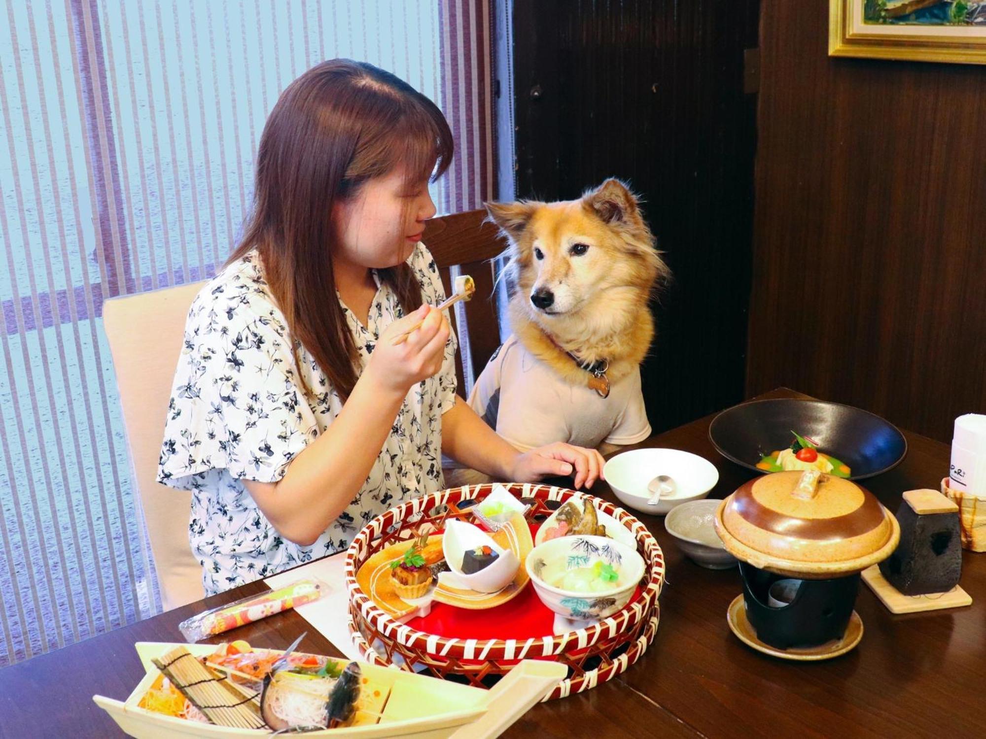 Japari Tateyama - Vacation Stay 84008V Esterno foto
