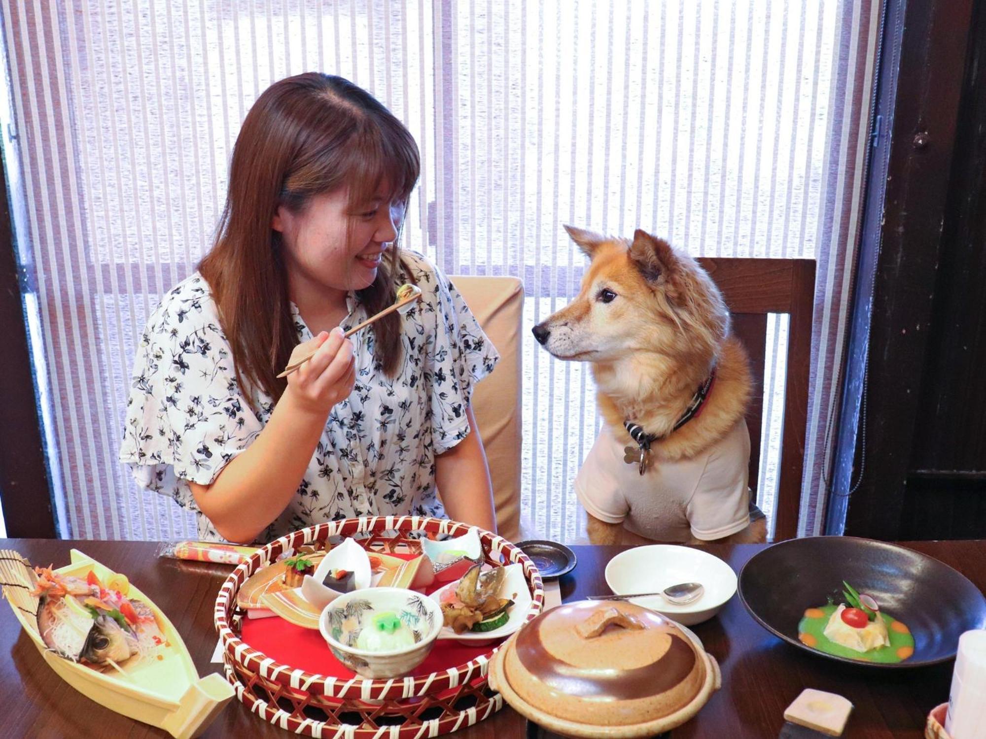 Japari Tateyama - Vacation Stay 84008V Esterno foto