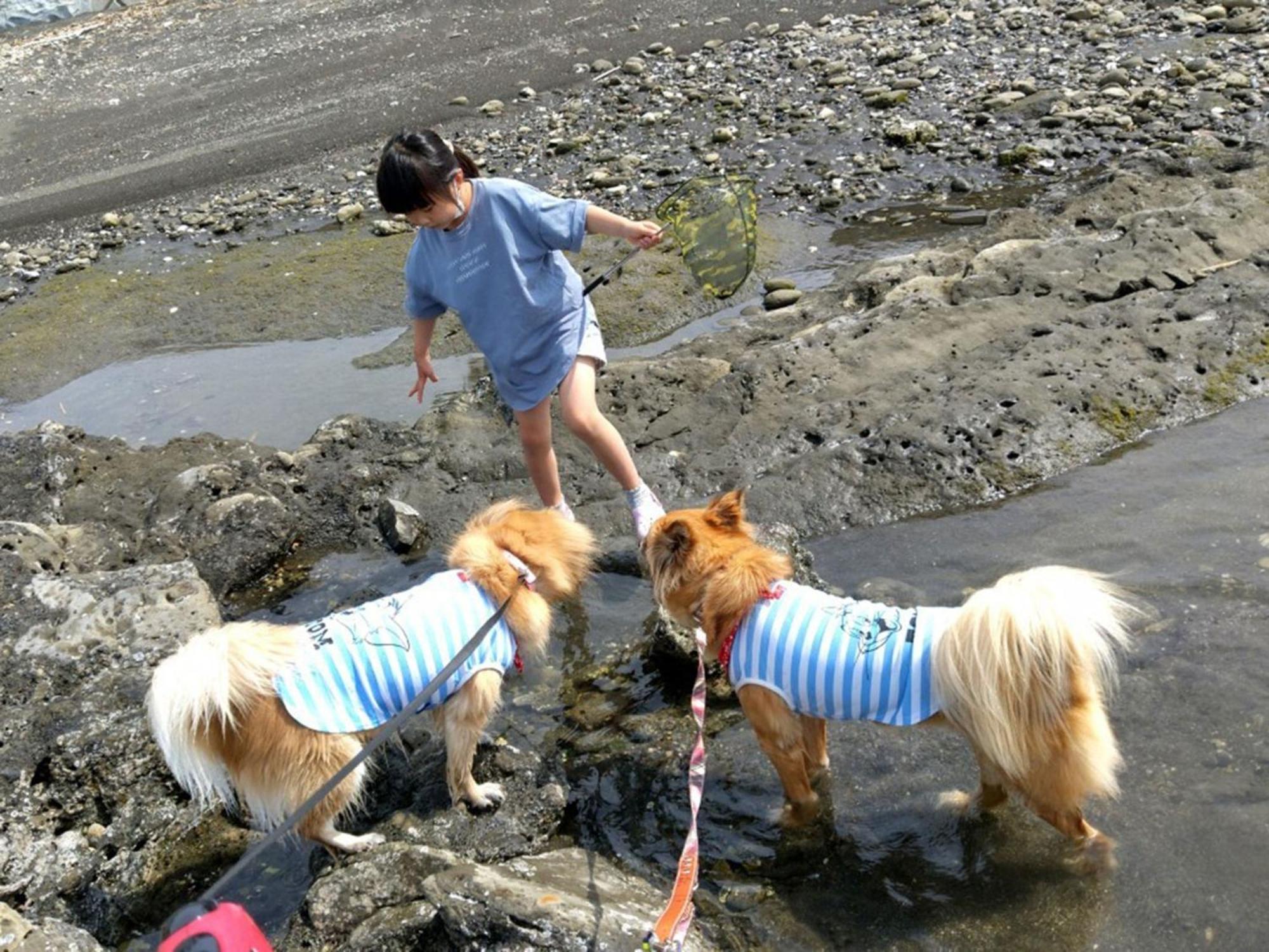 Japari Tateyama - Vacation Stay 84008V Esterno foto
