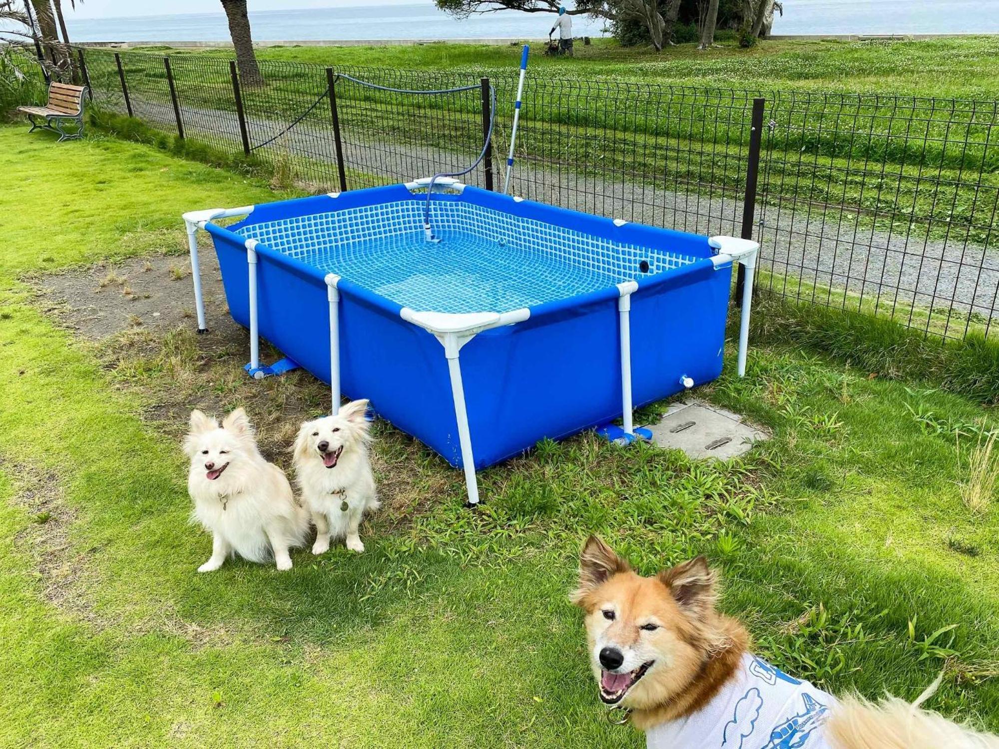 Japari Tateyama - Vacation Stay 84008V Esterno foto