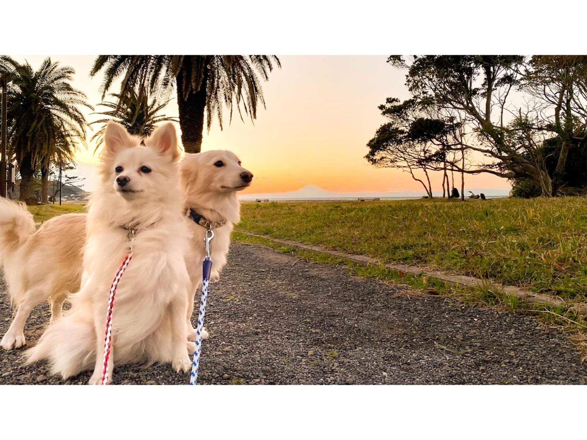 Japari Tateyama - Vacation Stay 84008V Esterno foto